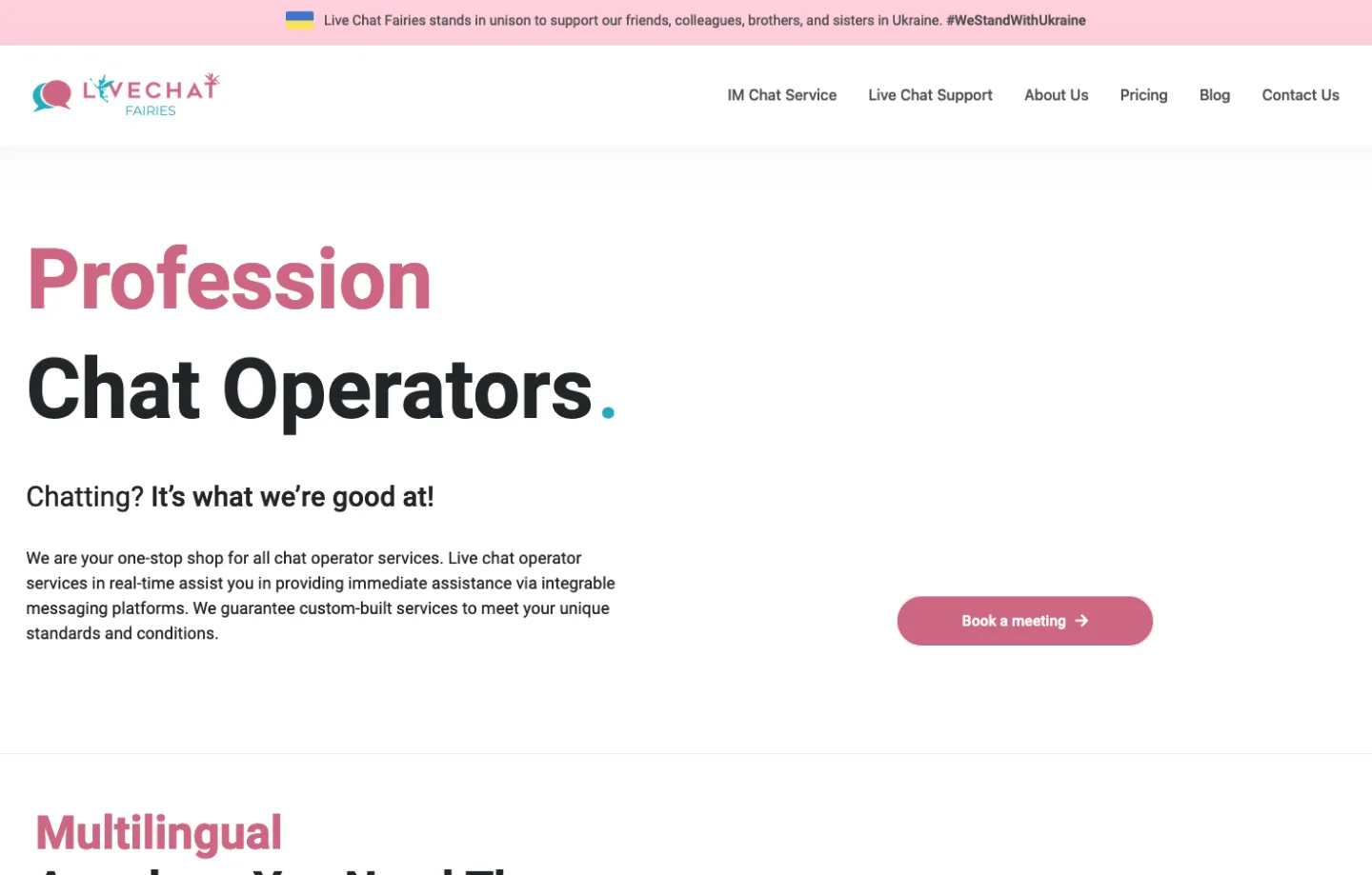 Live Chat Fairies homepage: “Profession Chat Operators” with a Book a meeting button.